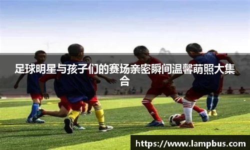 华体育hth官网登录